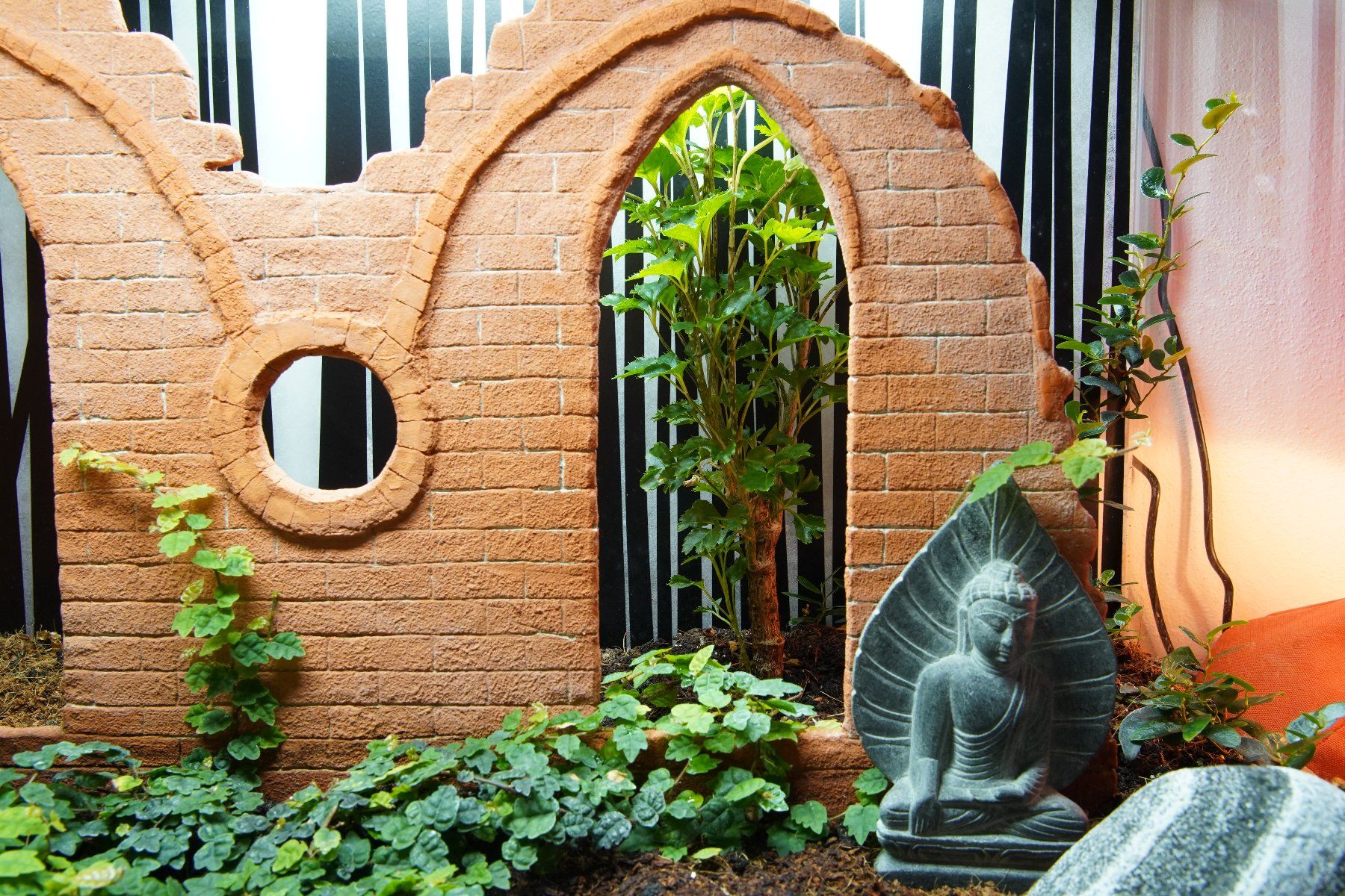 Terrarium: Terrarium – Gebraucht aus Wil SG von froschbiss 3