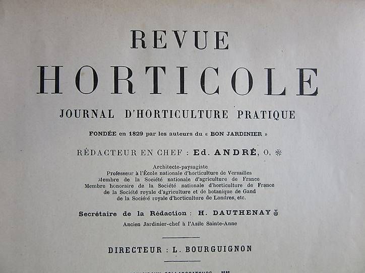 Bücher: Revue horticole, 1901, 73ème année – Gebraucht aus Chernex von Nouveaunom
