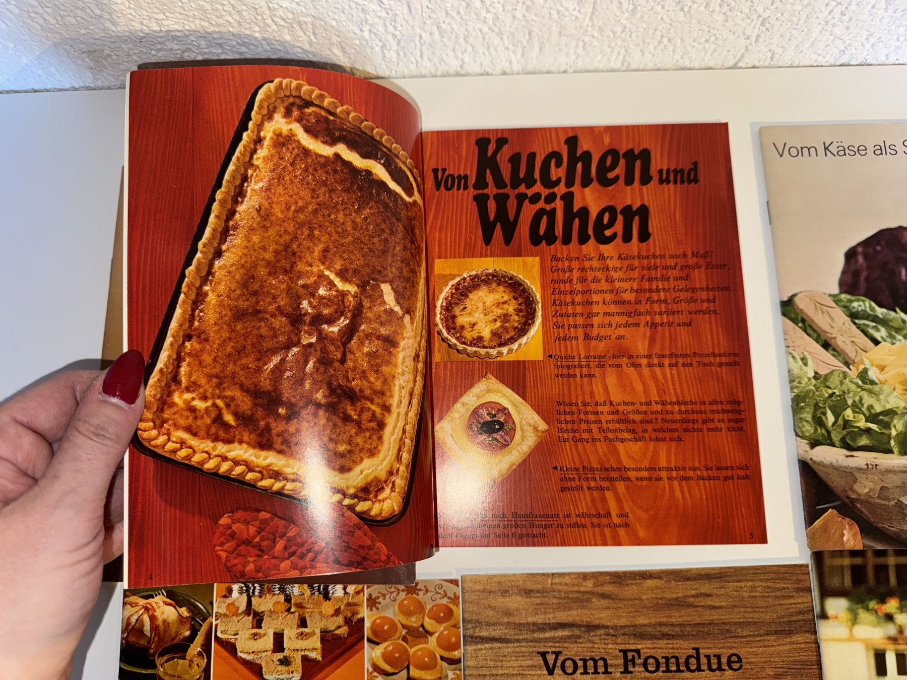 Libri: BÜCHER: Vom Schweizer Käse – Usato da Grosswangen venduto da Second_hand_paradise 2