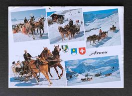 AK AROSA Schlittenfahrt Arlenwald Maran