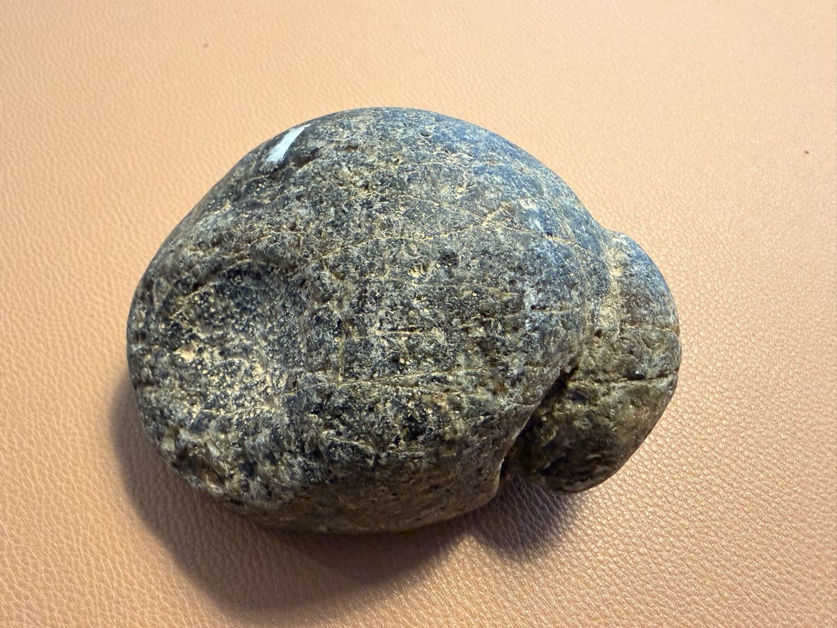 Minéraux & Lithothérapie: Achat Knolle 9cm – D'occasion à Rorschach par nan_8rts 2