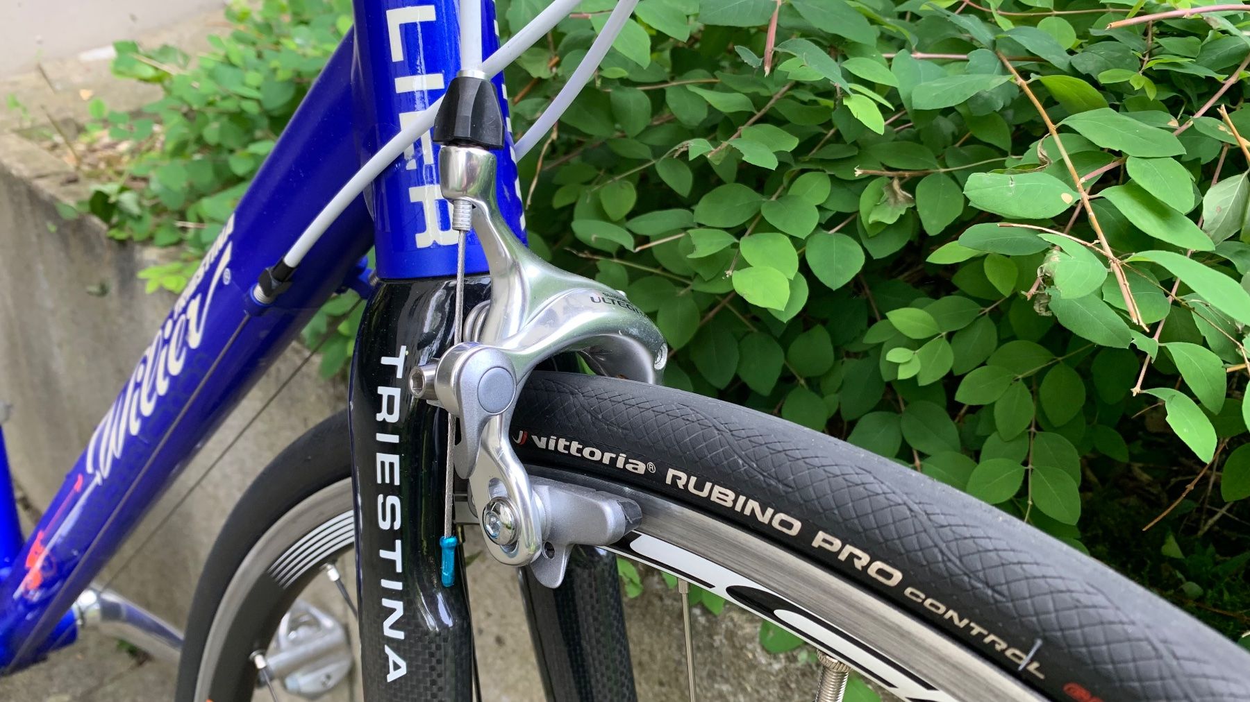 Wilier Triestina (Gebraucht) in Allschwil fr CHF 550  nur Abholung auf  Ricardo kaufen