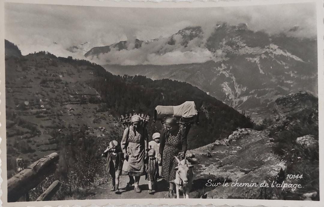 Cartoline postali: Sur le chemin de l'alpage - 1951 – Usato da Delémont venduto da Domdom1