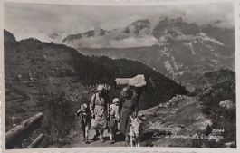 Sur le chemin de l'alpage - 1951