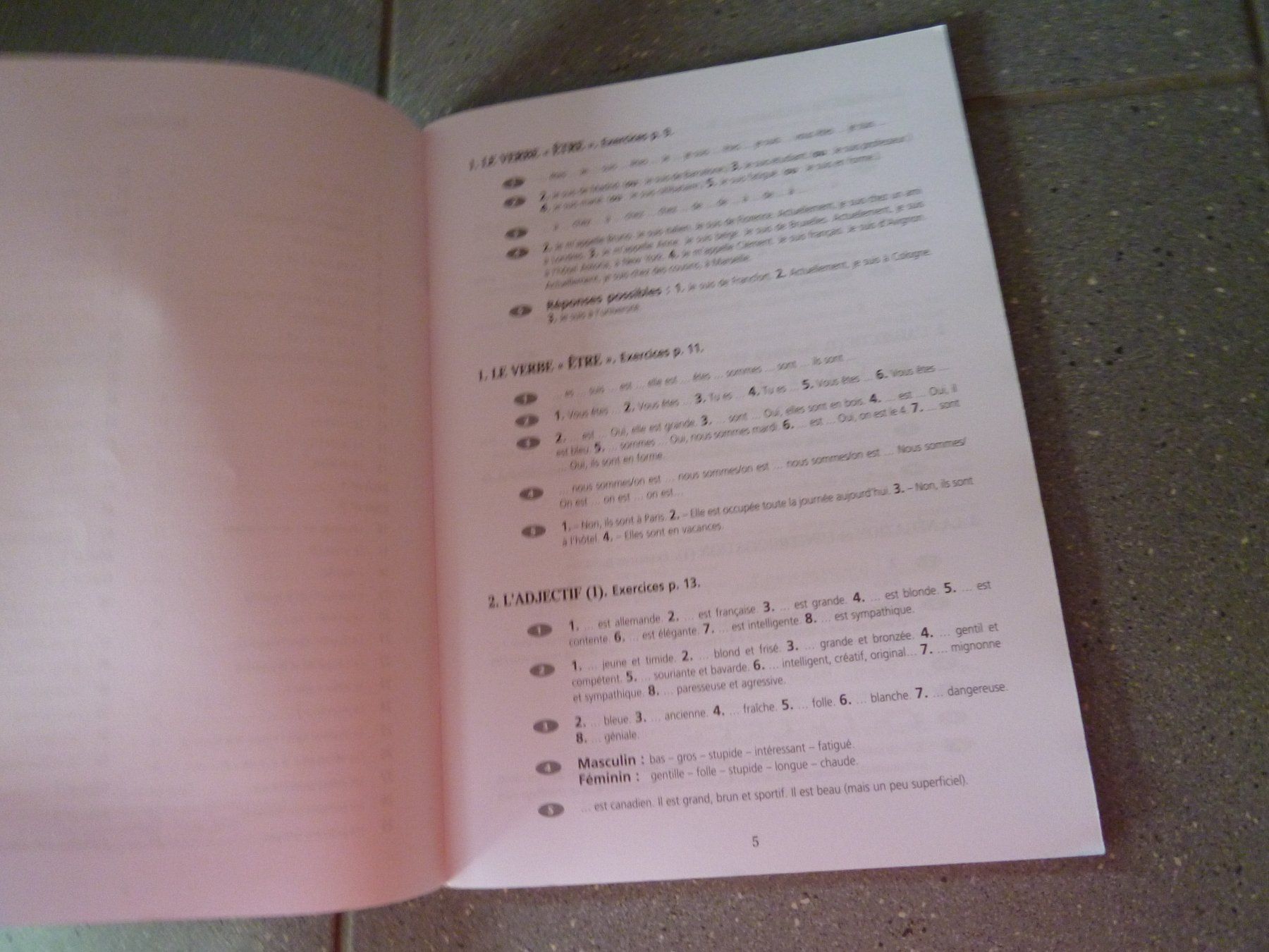 Libri: Grammaire Progressive du Français Corrigés Büchlein – Usato da Dättlikon venduto da Mamakuga 2
