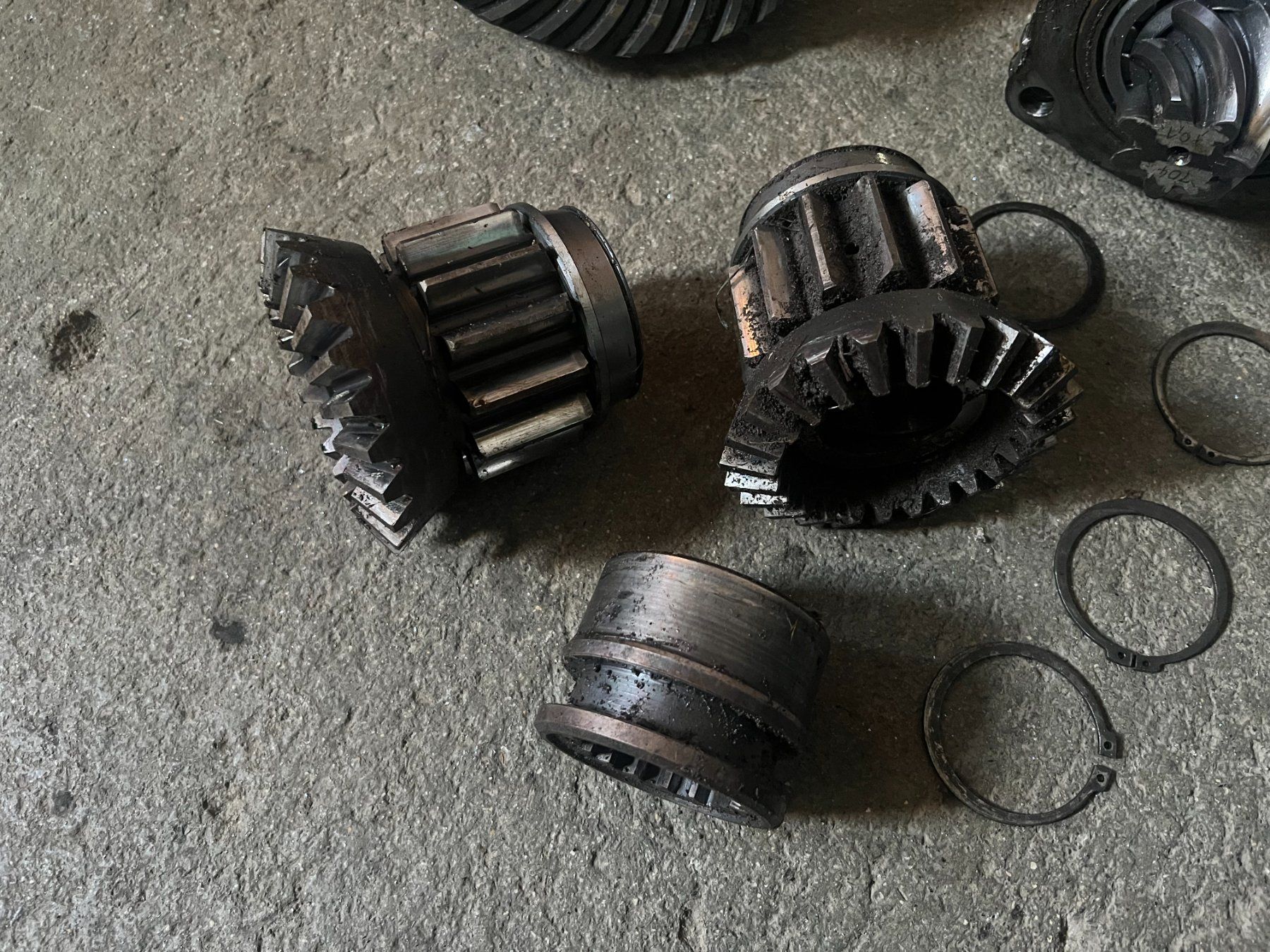Hürlimann Traktoren: Tellerrad/Pinion zu Hürlimann D100S/L – Gebraucht aus Oensingen von alpenvogel92 3