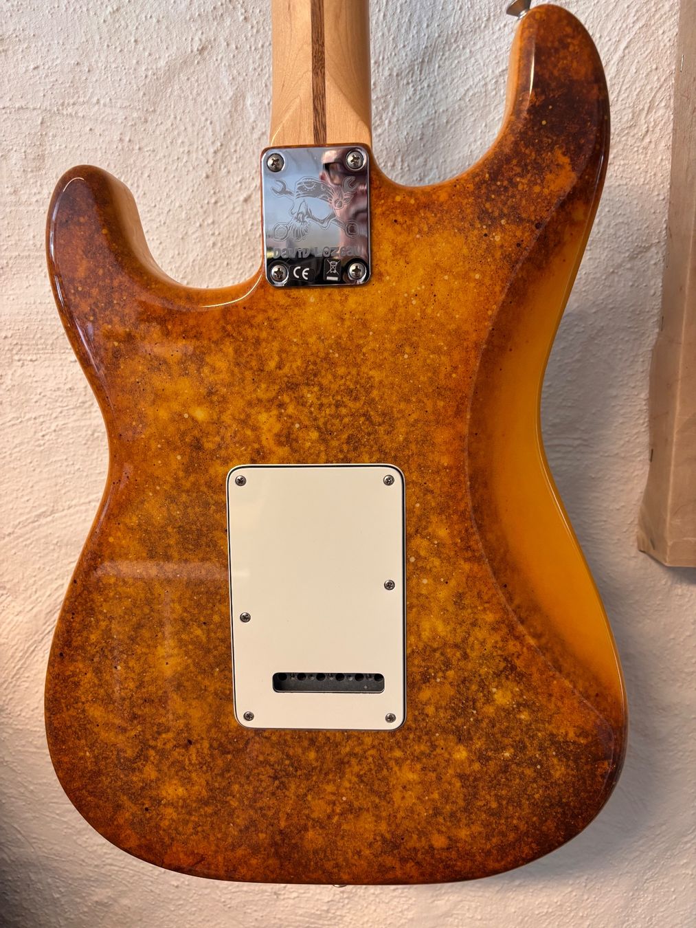 Fender Instruments de musique: Fender Special Edition David Lozeau Art Stratocaster 2016 – D'occasion à Buch SH par JTThomas 1
