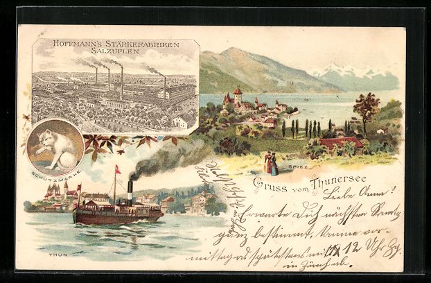 Cartoline postali: Litho Thun, Gruss vom Thuner See, Spiez, – Usato da Berlin venduto da bartko-reher