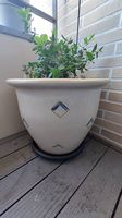 Grand pot à plantes ou fleurs en cémamique
