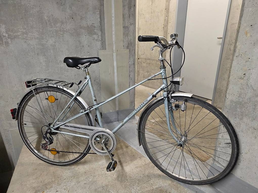 Biciclette: Stadt oder Bahnhof Velo ab Service – Usato da Grüningen venduto da Wennepen 1