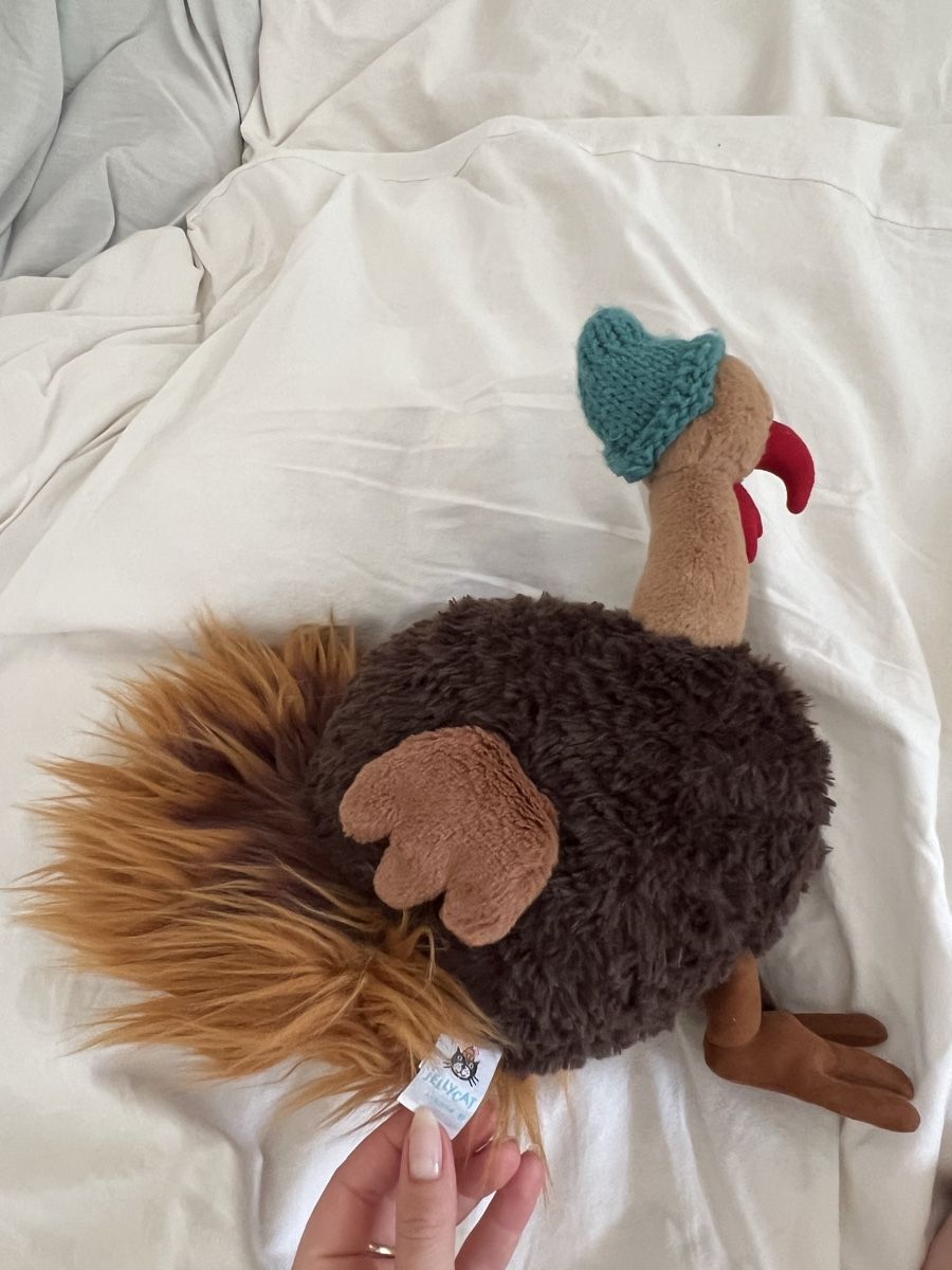 Jellycat Jouets: Jellycat Truthahn – Neuf (Voir description) à Zürich par hannah.liaaa 3
