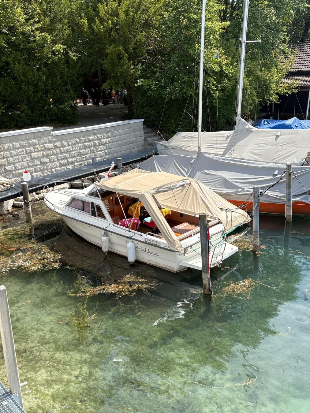 Boote: saphir 650 cabon – Gebraucht aus Hinwil von hinwi 1
