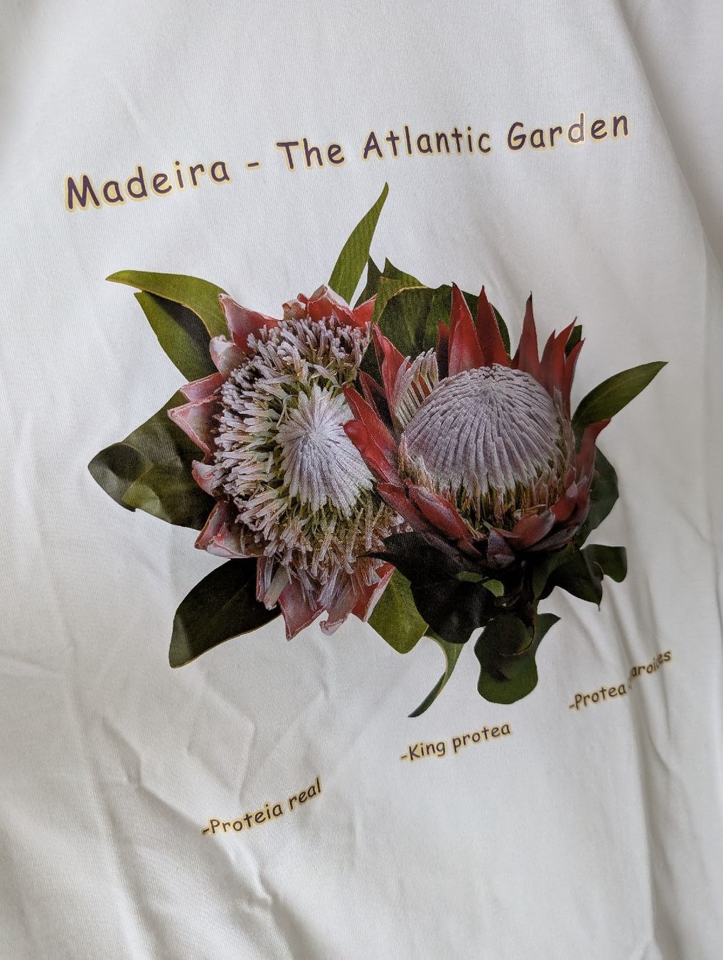 T-shirt: Madeira T-Shirt, S – Nuovo (secondo la descrizione) da Ganterschwil venduto da Nike18 1