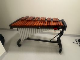 Adams Marimba Solist Junior 30-sehr guter Zustand