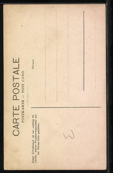 Cartoline postali: Junge Solothurnerin in Festtagstracht mi – Usato da Berlin venduto da bartko-reher 1