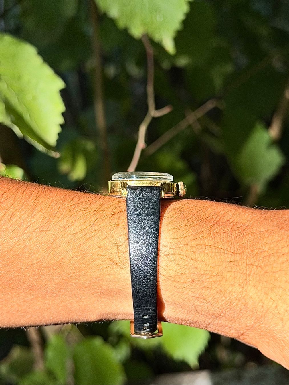 Zenith Orologi: Zenith Vintage 60's – Cal. 88 – Usato da Genève venduto da cjwatch.s 2