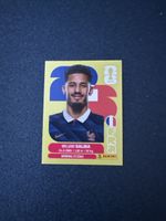 Carte panini 2026