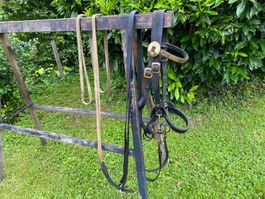 seltenes antikes Säumerhalfter
