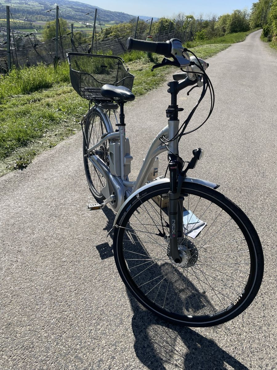 Flyer Biciclette: Fahrrad Flyer T8 Premium – Usato da Weinfelden venduto da LaurenzB 4