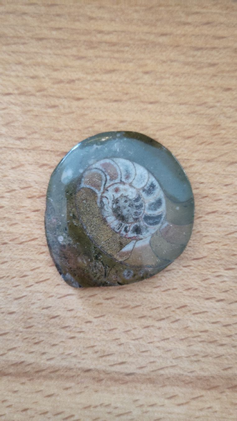 Alle Dekorationen: Dekoration Thema Strand – Neu (gemäss Beschreibung) aus Lostorf von M.Mollet 1