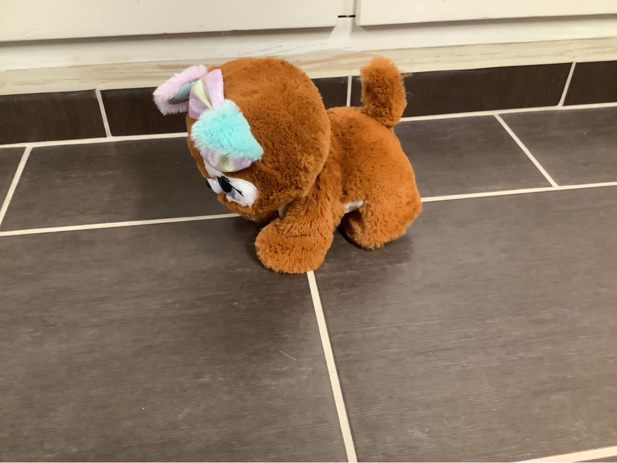 Giocattoli: Present Pets Hund mit Funktionen – Usato da Brugg AG venduto da Sweety_pie 1