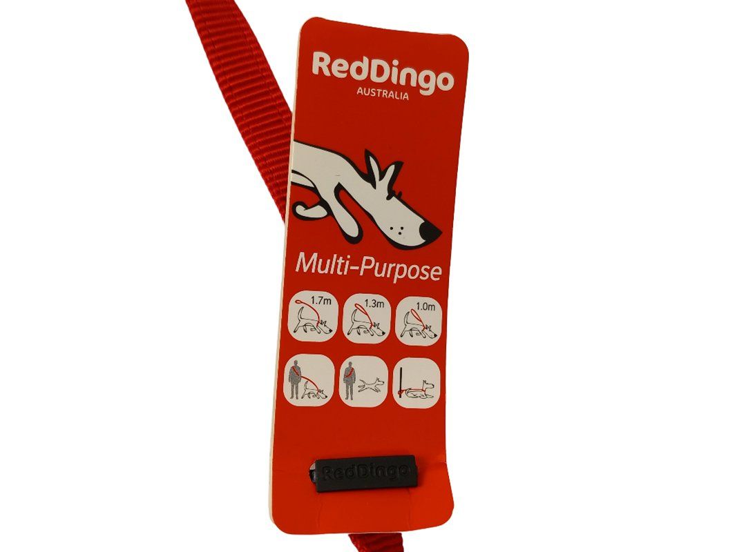 Collier et laisse: RedDingo Hundeleine rot – Neuf (Voir description) à Hünenberg par Restwert_Zug 5