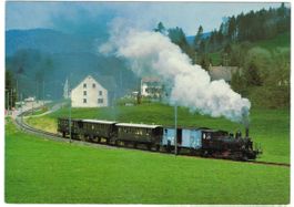 AK DVZO Dampfzug ob Neuthal