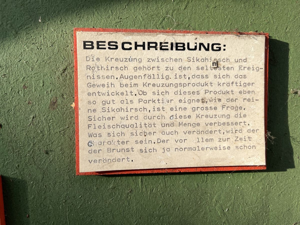 Welt der Tiere: Geweih.. – Gebraucht aus Hergiswil LU von DragonMaister 2