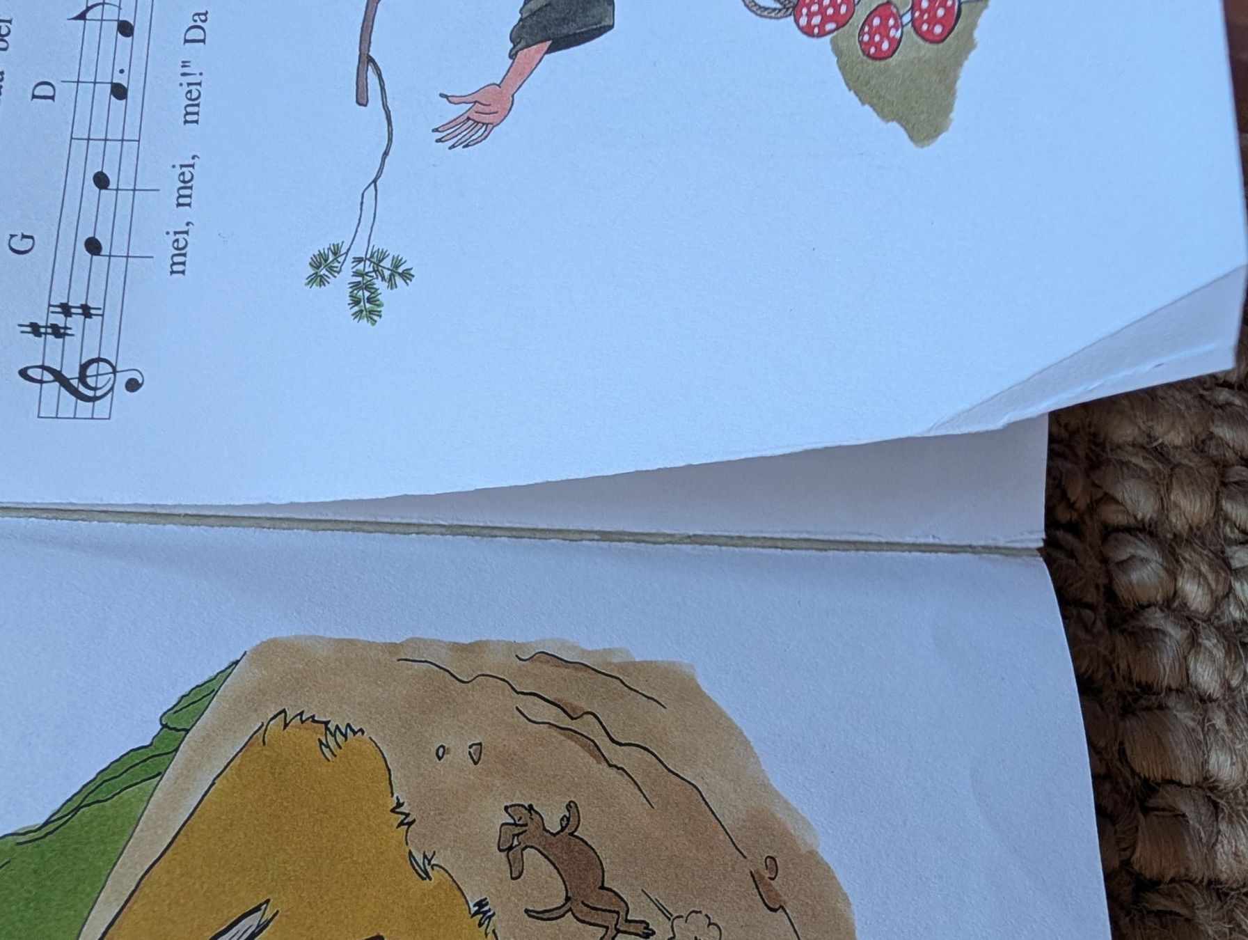 Libri: Globis fröhliche Liedli Buch mit Noten – Usato da Nänikon venduto da Haexli_70 5