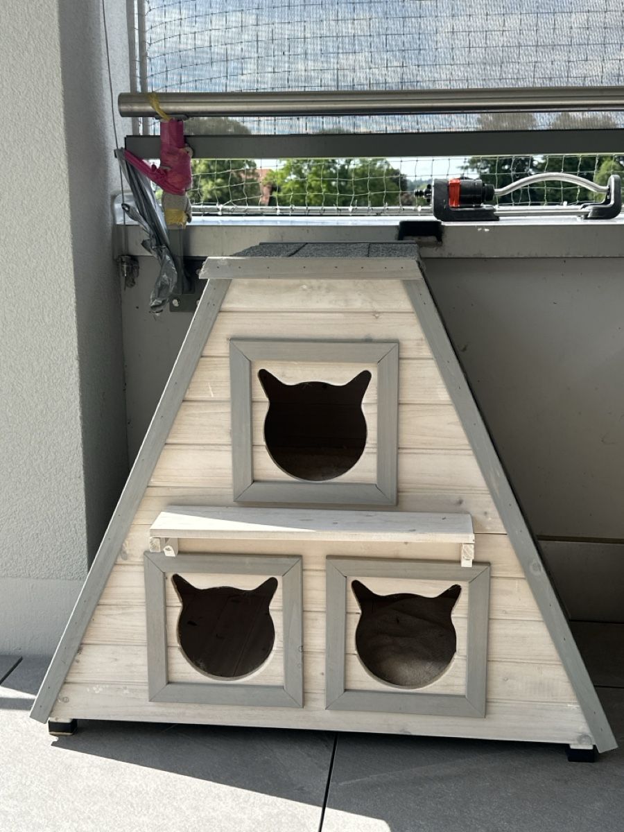 Cucce & Letti: Katzenhaus – Usato da Luzern venduto da Rxzime
