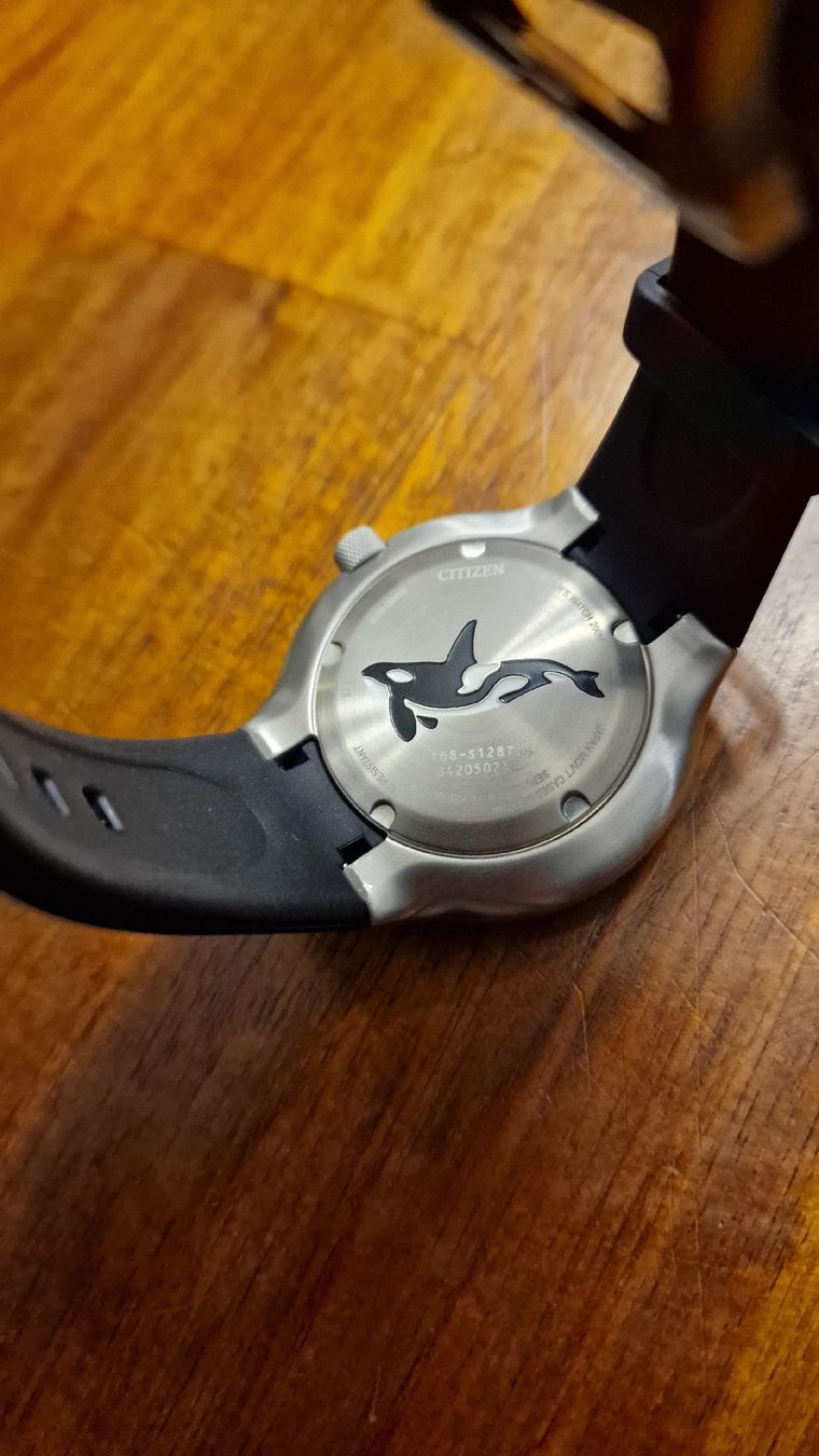 Citizen Orologi: Citizen Eco-Drive Promaster Orca – Nuovo (secondo la descrizione) da Urtenen-Schönbühl venduto da Saints67 5