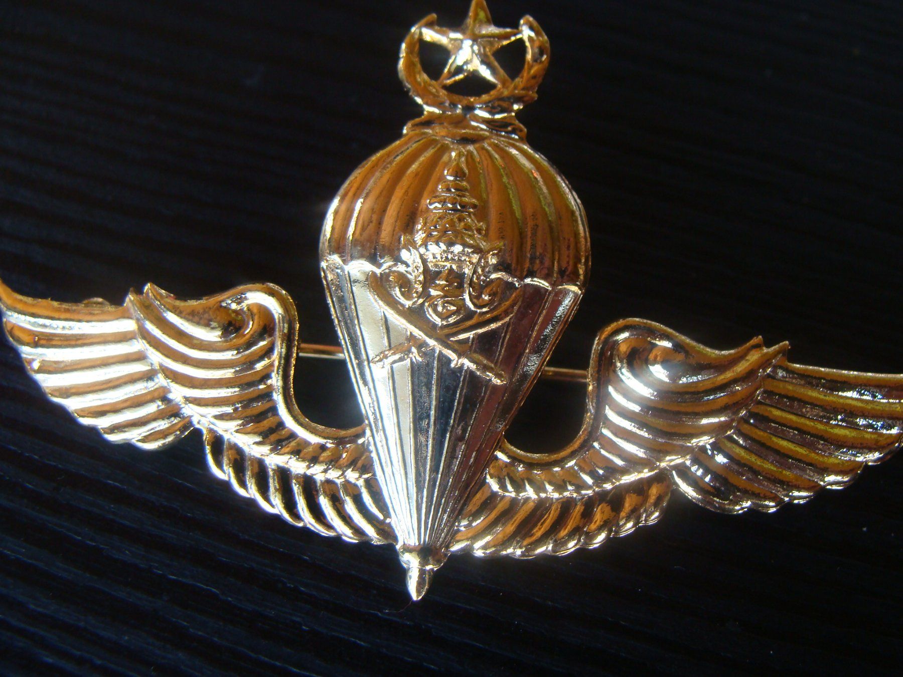 Placchette & Badge: Badge de l'armée thailandaise, métalliques – Usato da Cuarny venduto da hen_g7hn 1