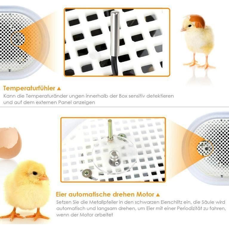Altro in Accessori per animali: Inkubator Brutmaschine 9-12 Eier – Nuovo e nell'imballaggio originale da Bottighofen venduto da zaap 1