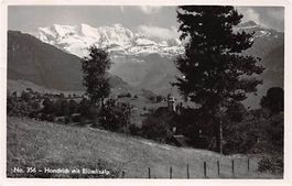 Hondrich mit Blümlisalp