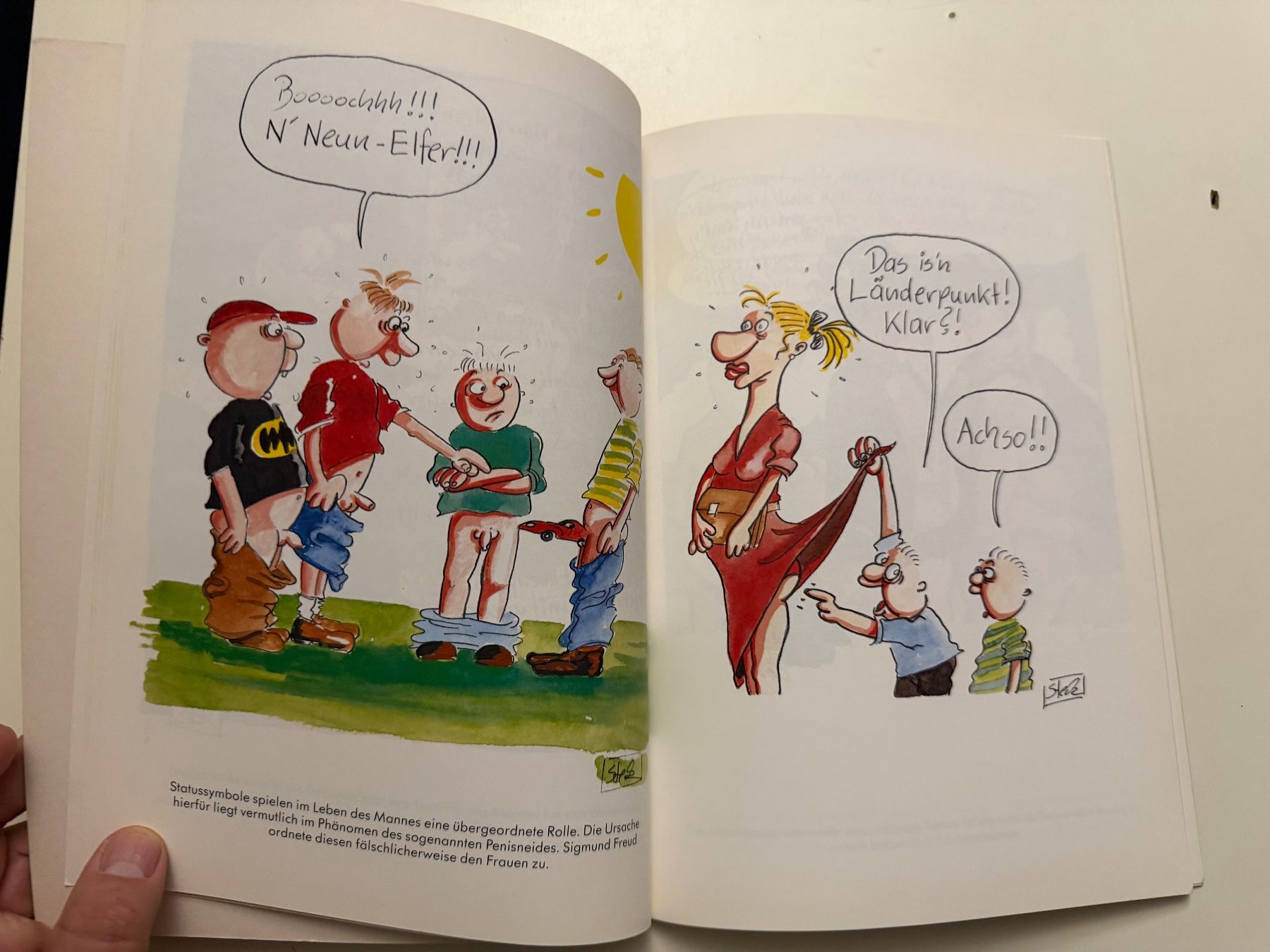 Fumetti: Mannes Pracht - Steck - Semmel Verlach – Usato da Münsingen venduto da Ganjam 6
