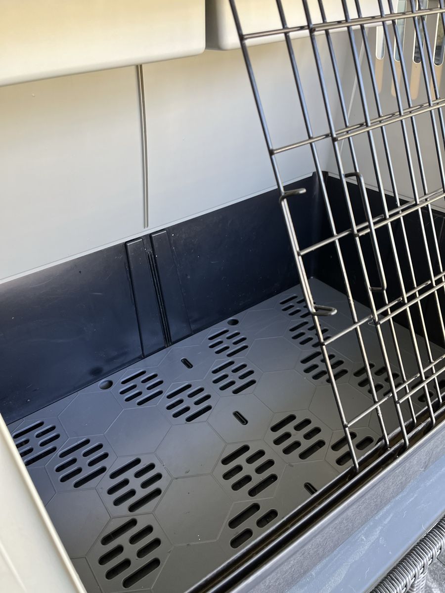 Cucce & Letti: Gut erhaltene Hunde Auto-Transportbox – Usato da Bettwiesen venduto da Fugi5 3