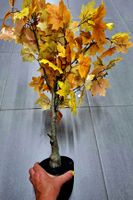 Hochwertiger künstlicher Ahorn. Länge: 71cm Farbe: Gelb
