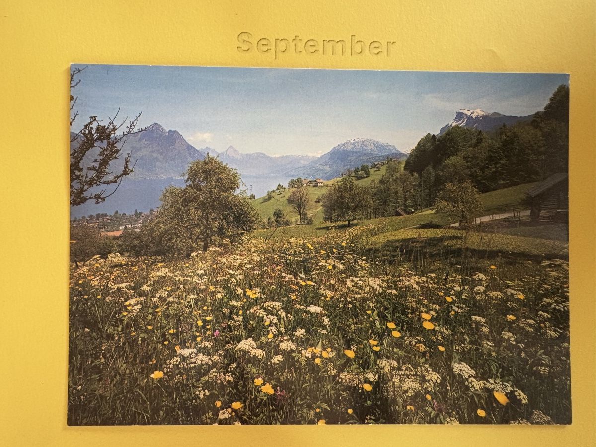 Cartoline postali: AK von Beckenried – Usato da Rümlang venduto da Kartenpost1