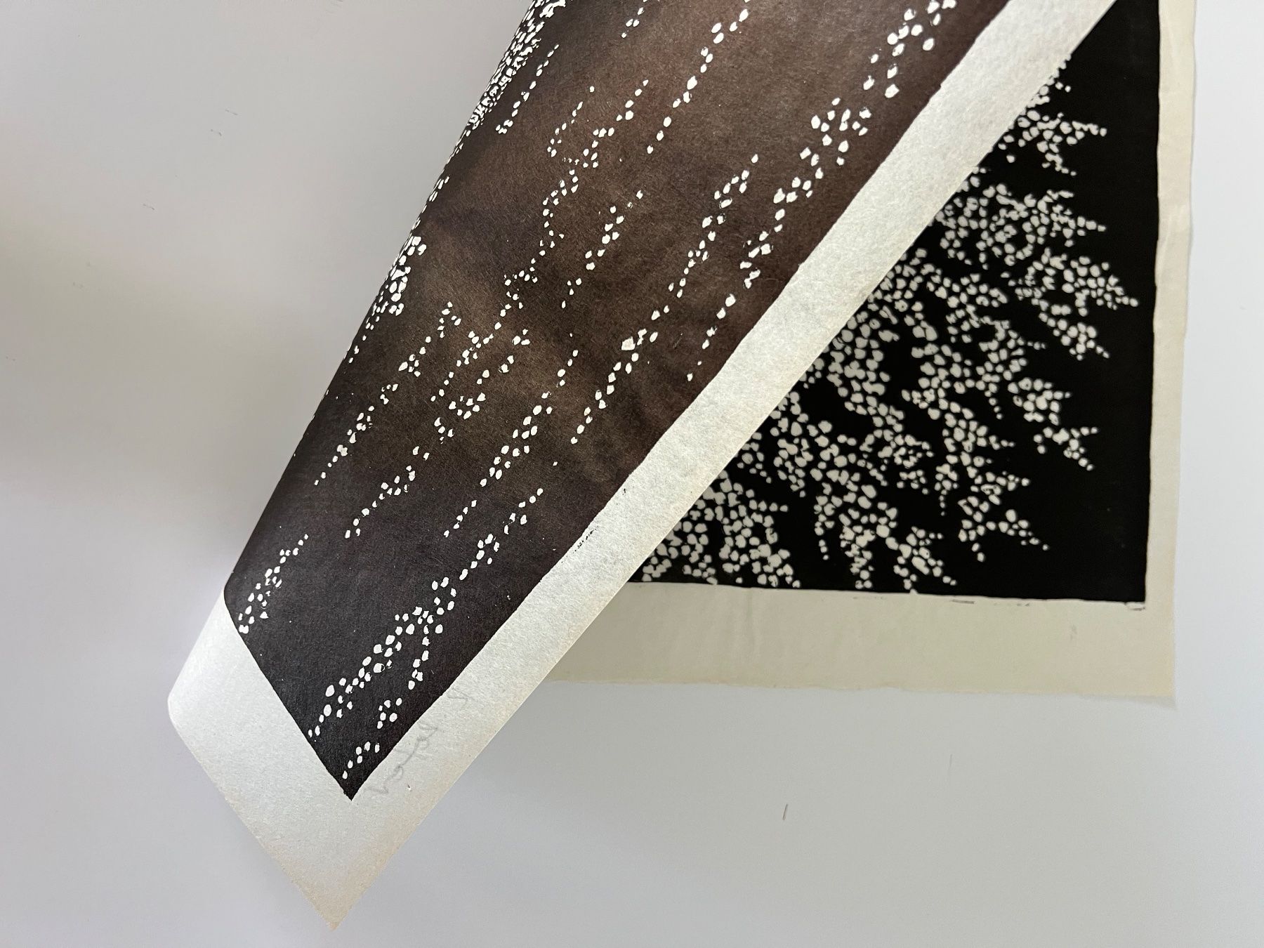Arts picturaux & lithographies: Ruedi Peter, handsigniert – D'occasion à Rain par Pic-Ass 4