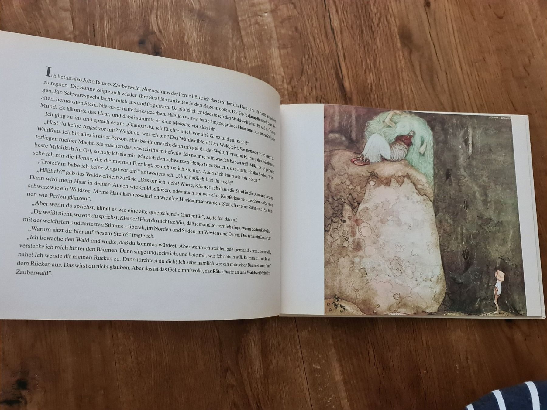 Libri: Zauberwald buch – Usato da Wittenbach venduto da Tigerlili 6