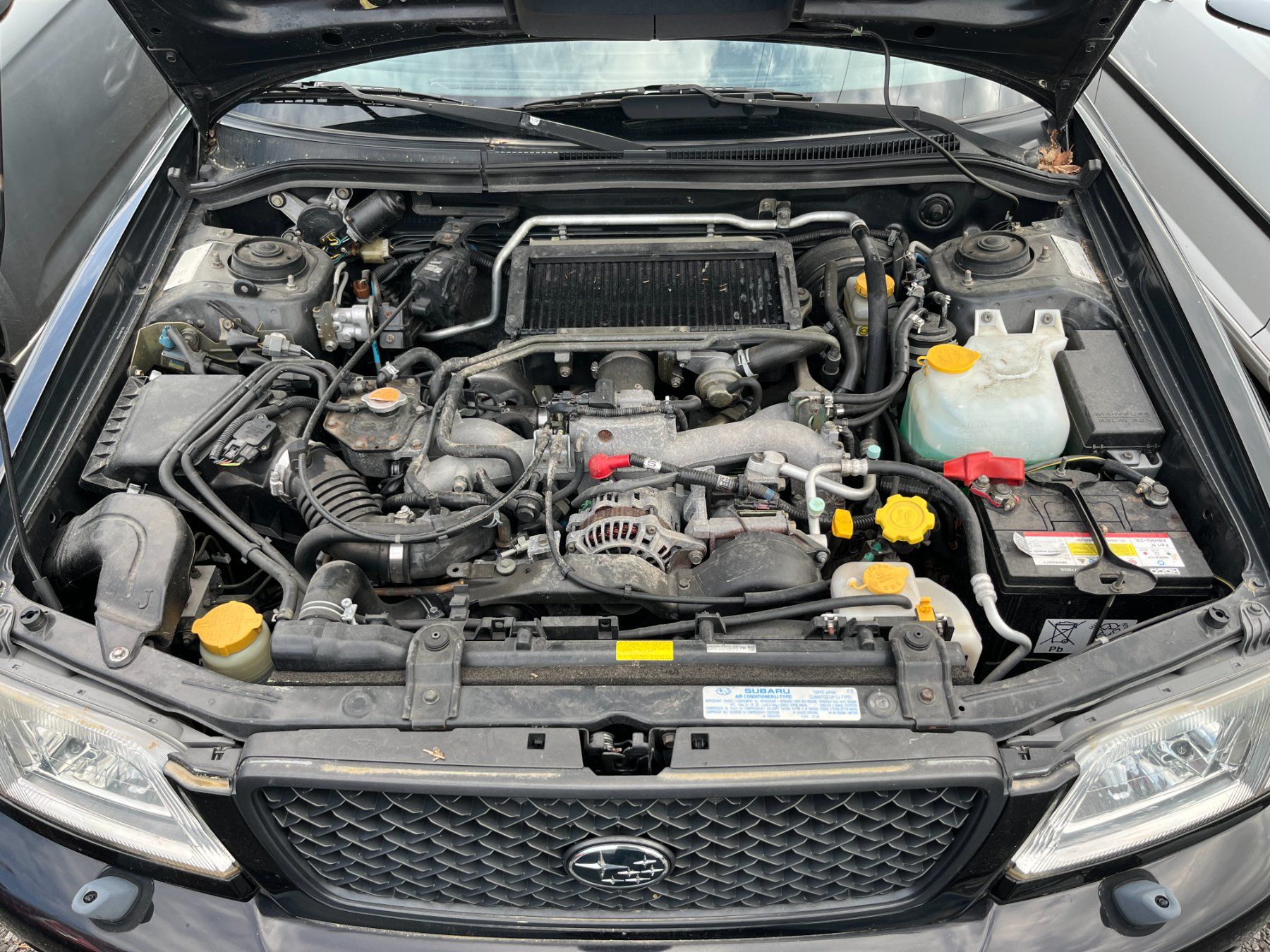 Subaru Autos: SUBARU Forester 2.0 GT "Club" – Gebraucht aus Emmen von g-b-e 9