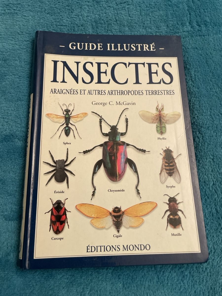 Libri: Guide Illustré Insectes, Araignées et Arthropodes Terrestres – Usato da Buchillon venduto da Samui3