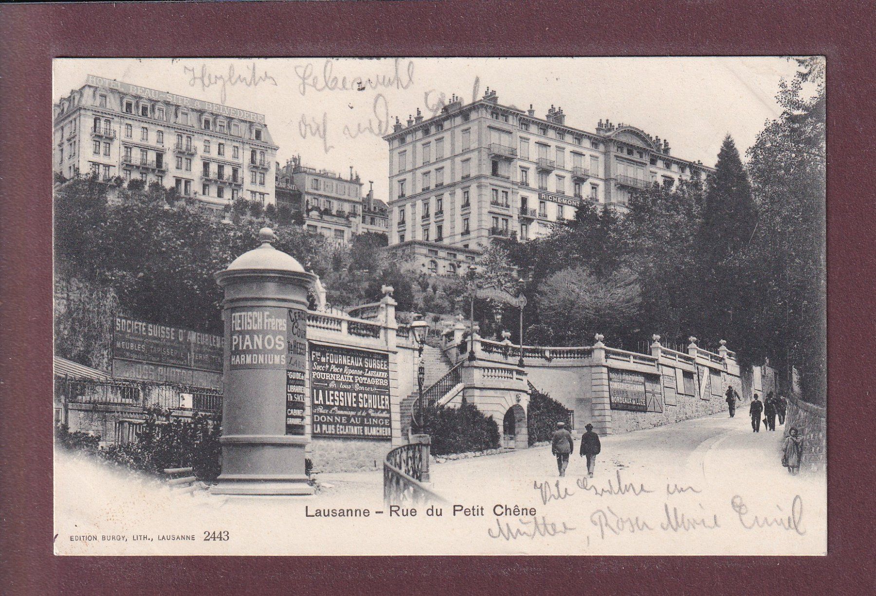 Cartoline postali: LAUSANNE - Petit Chêne - 1905 – Usato da Pully venduto da nicecards