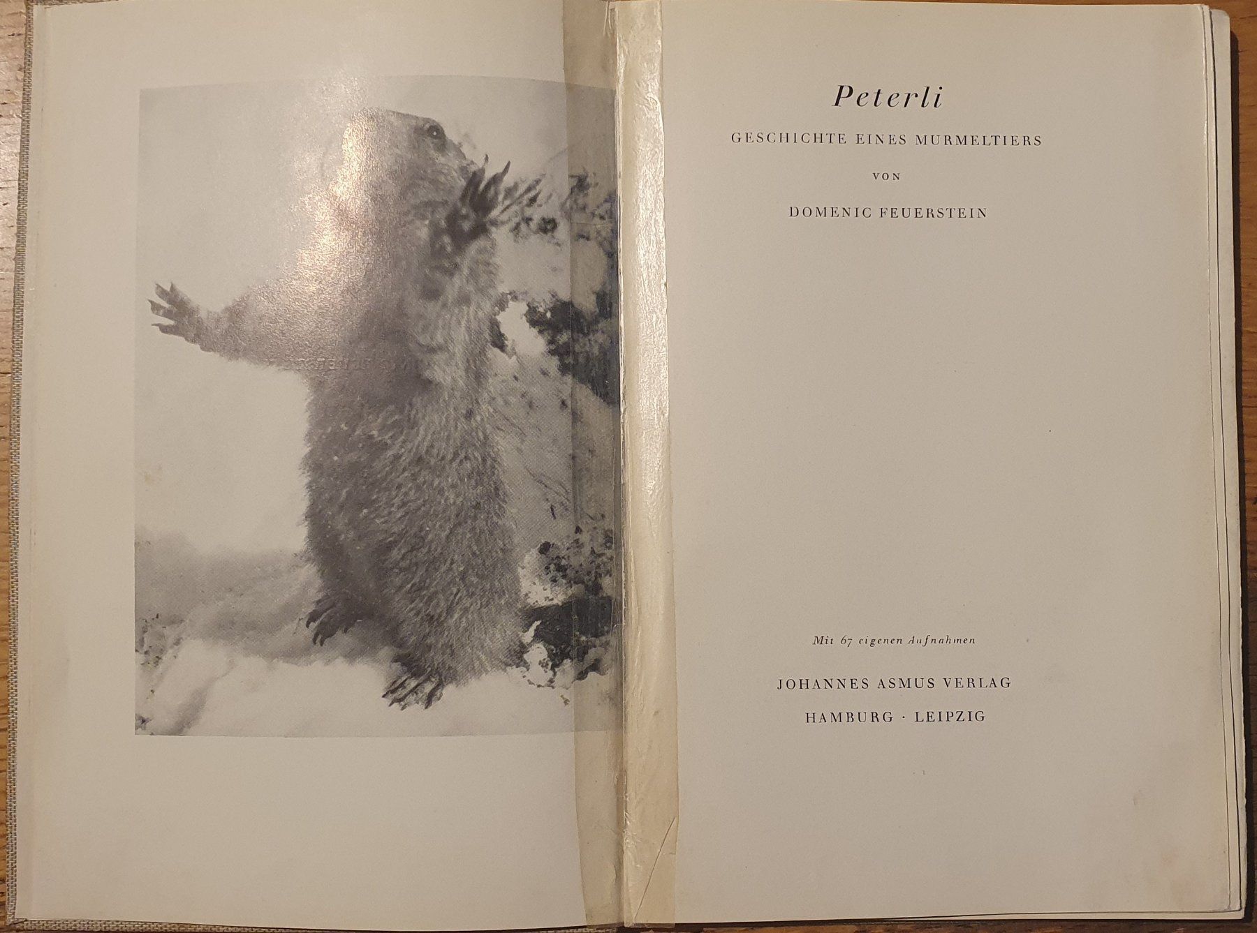 Livres: Domenic Feuerstein - Peterli, Geschichte eines Murmeltiers – D'occasion à Zürich par Vesco01 1