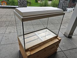 Juwel Aquarium 60x40x30