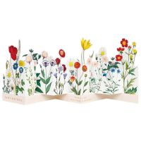 Geburtstagskarte, Grusskarte Blumen: Wildblumen