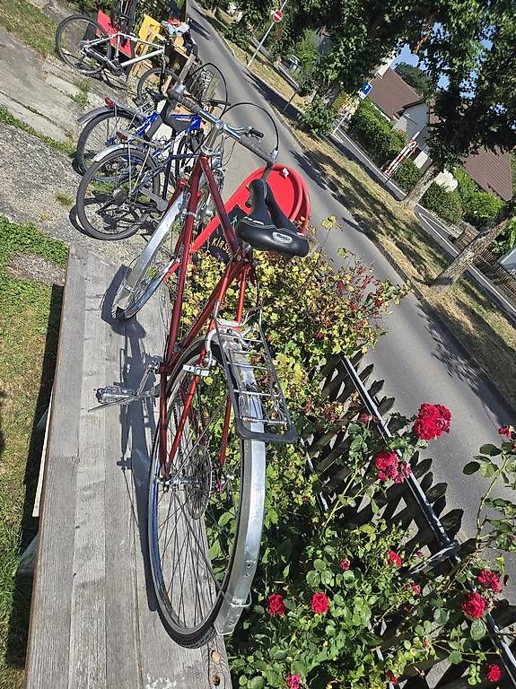Biciclette: Rennvelo Euroteam Race – Usato da Biel/Bienne venduto da Rouf7 2