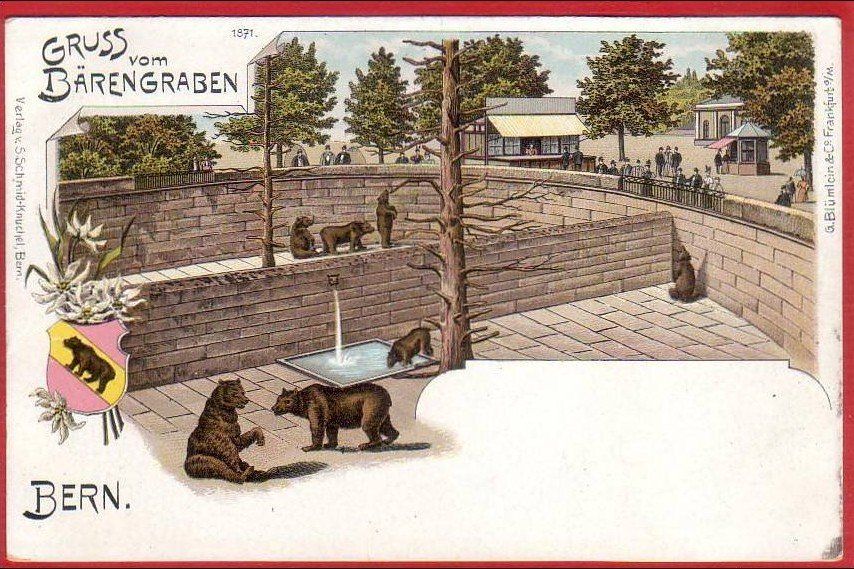Cartoline postali: BERN BÄRENGRABEN, LITHO 1900/05 – Usato da Grüningen venduto da Kartenlaube