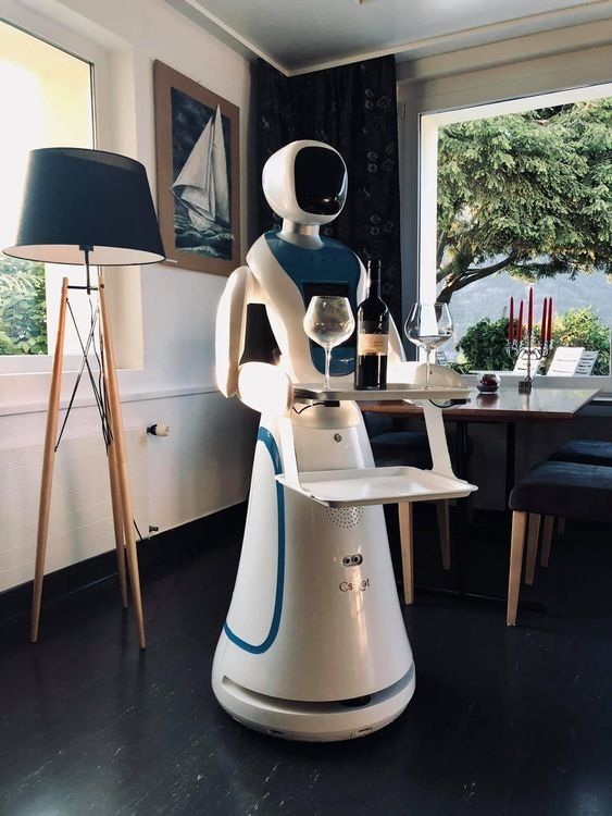 Tutte le macchine: RÖSSLI Service-Roboter – Usato da Murg venduto da MelindaSeeblickHotel