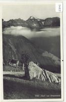Idyll auf Braunwald - Kühe